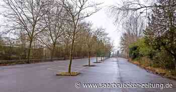 Merzig: Neue Gewerbeflächen und Wohnungen auf früherem V&B-Parkplatz - Saarbrücker Zeitung