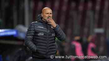 La Città - Colantuono senza scuse. Vittoria oggi col Genoa o via dalla Salernitana - TUTTO mercato WEB
