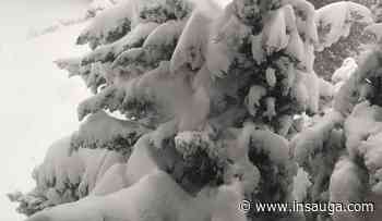 School day or snow day? Durham, Halton and Niagara school boards waiting to decide | inDurham - insauga.com