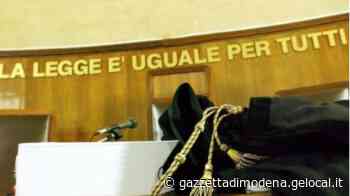 Modena. Due rottweiler uccidono una piccola maltese Proprietario a processo - La Gazzetta di Modena