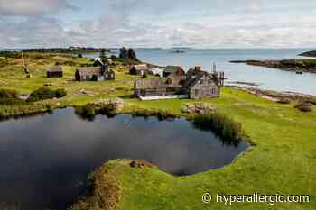 Painter Andrew Wyeth's Beloved Islands Are Acquired by Colby College - Hyperallergic