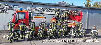 Steinen - Gefordert in Theorie und Praxis - www.verlagshaus-jaumann.de