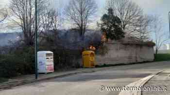 Divampa un incendio vicino al campo sportivo di Guglionesi - Termoli Online