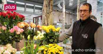 Trebur: Beim Blumenkaufen mit Kollegen plauschen - Echo Online