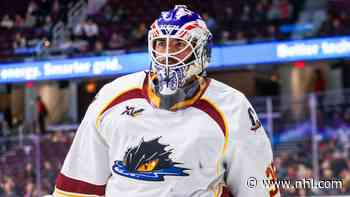 CBJ add goaltender Jean-Francois Berube to taxi squad - nhl.com