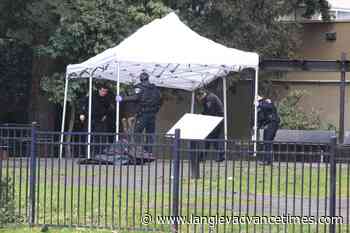 Homicide team investigates fatal stabbing in Abbotsford – Langley Advance Times - Langley Advance Times