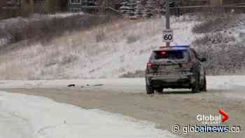 Calgary police investigate morning road rage incident in Tuscany - Globalnews.ca
