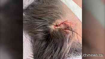 Canada Goose fitting room mirror in Calgary falls on customer visiting from China | CTV News - CTV News Calgary