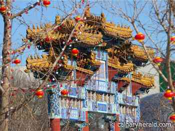 Day 12: A look through Gavin Young's lens at the Beijing Olympics - Calgary Herald