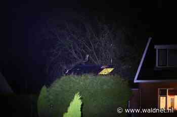 Boom valt op schuur in Houtigehage - WâldNet