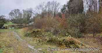 23 bags of rubbish collected in just an hour at Coventry woodland - and it's been completely transformed - Coventry Live