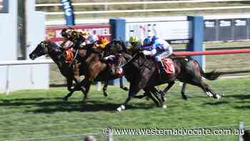 Bathurst Cup could become a qualifying event for Racing NSW's $2 million The Big Dance - Western Advocate