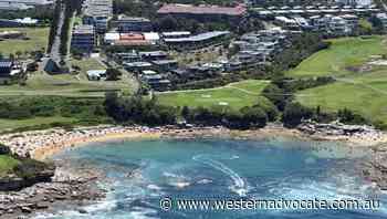 Sydney beaches closed after shark attack - Western Advocate