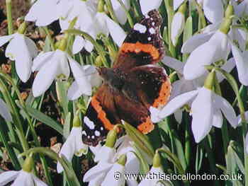 Nature Notes: So what will February's weather bring?