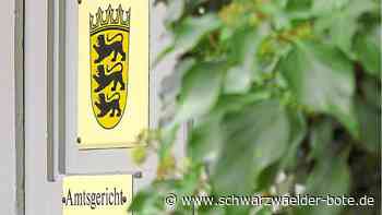 Nagolder Motorradfahrer - Selbst das Kennzeichen war nur gebastelt - Schwarzwälder Bote