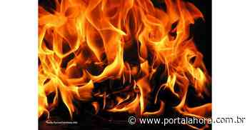 Incêndio em vegetação rasteira é registrado em propriedade de Imbituba; dono do imóvel estava em casa quando as chamas se alastraram - Portal AHora