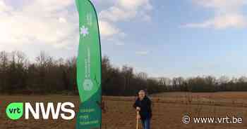 Nieuw bos in Holsbeek compenseert ontbossing in Zoutleeuw - VRT NWS