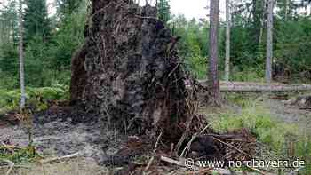 Wald meiden: Schwere Sturmböen auch in Altmühlfranken erwartet - Nordbayern.de