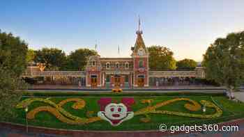 Disney CEO Bob Chapek Hires New Executive to Strategise Metaverse Plans