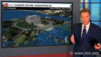 'Mind boggling': CNN meteorologist shows how rising sea levels will affect coasts