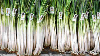Erba cipollina - Proprietà e benefici - CataniaToday