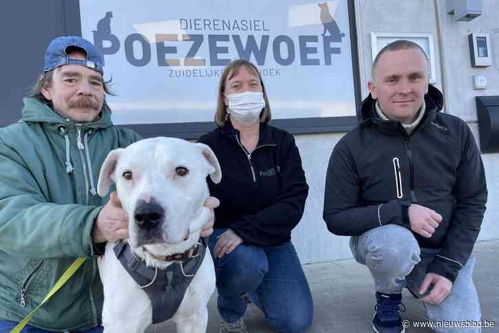 Na redding uit Roemenië moet “schat van een hond” zeldzame kanker overwinnen, asiel houdt actie voor kersverse baasjes: “Uitzonderlijk, maar Charlie kan genezen”