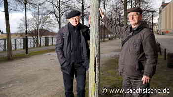 Riesa: "Die Riesaer Linden haben in den Trockenjahren gehungert" - Sächsische.de