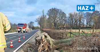 Sturm in Hemmingen: Feuerwehr im Einsatz Bäume drohen umzustürzen - Hannoversche Allgemeine