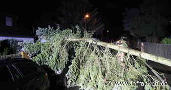 Franken: Orkantief "Ylenia" führt zu großräumigen Stromausfällen - 50 Bäume stürzen auf Straße