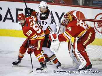 Lindholm extends goal streak to six games in win over Anaheim - Squamish Chief