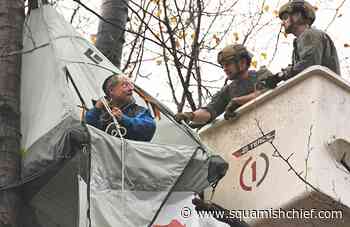 TMX protests: Tree-sitter jailed for breaking injunction - Squamish Chief