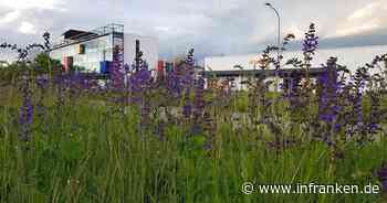 Bamberg: Glüsenkamp appelliert an Unternehmen - inFranken.de