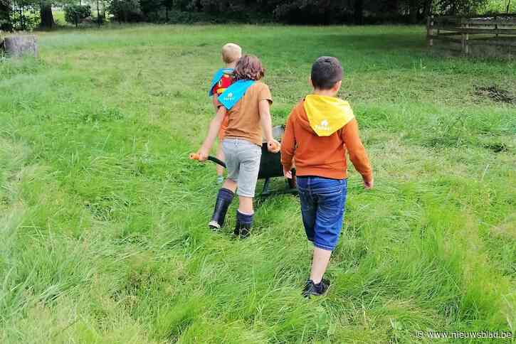 Koraal biedt meer dan levendige speelpleinen: “Vakantiekampen   in prachtig natuurgebied”