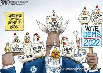 Fowl Play
