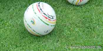 Faustball-Nachwuchs qualifiziert sich für Deutsche Meisterschaft - TAGEBLATT: Nachrichten aus Stade, Buxtehude und der Region - Tageblatt-online