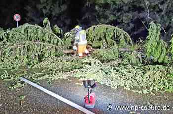 Auch in Kronach stürmt es - „Ylenia“ fegt durch den Landkreis - Neue Presse Coburg