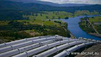 Snowy 3.0? Greens plot $40 billion takeover of electricity sector to eliminate coal by 2030