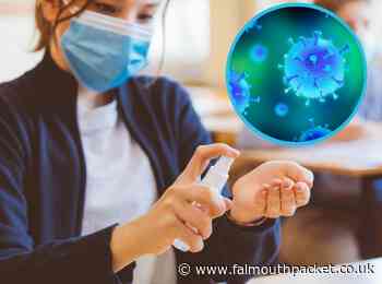 Coronavirus in Cornwall round up: Thursday, February 17 - Falmouth Packet