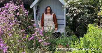 Budget savvy gardener transforms alleyway to grow fruit and veg helping her save hundreds of pounds - Wales Online