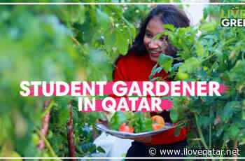 Find out more about Qatar's student gardener | Live Green | Ep 32 - ILoveQatar.net