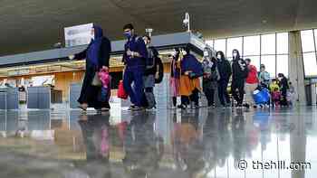 Biden weighs temporary protected status for Afghans