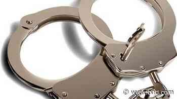 Belleville mother charged with assaulting child with knife - Belleville News-Democrat