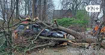 Live: Sturm in Schleswig-Holstein – „Ylenia“ löst 700 Einsätze aus, Sturmtief „Zeynep“ startbereit