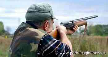 Tortora selvatica, Lipu: giravolta di Ministero Transizione Ecologica e Ispra e via libera alla caccia - PPN - Prima Pagina News