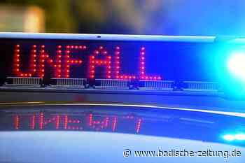 Kraftradfahrer kommt nach Unfall bei Breisach in die Klinik - Breisach - Badische Zeitung