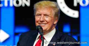 First Users Hit Trump's Truth Social for Beta Testing: 'Y'all Are Going to Love It'