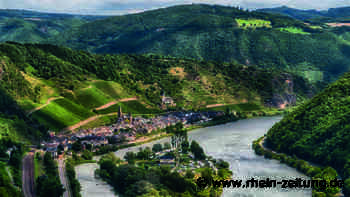 Köche und Winzer bieten Genuss: Neues Jahresprogramm an der Terrassenmosel - Rhein-Zeitung