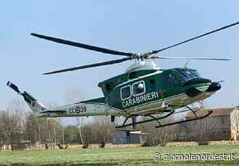 Nella marca controlli straordinari dei Carabinieri: una 50ina le pattuglie all'opera ed un elicottero – Giornale Nord Est - Giornale Nord Est