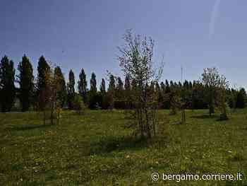 Bergamo. Al Bosco della Memoria l’opera di Giuseppe Penone, una donazione della Fondazione Sacchetti: «Un... - Corriere Bergamo - Corriere della Sera