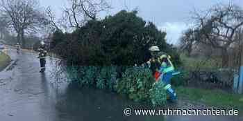 Sturm in Werne und Ascheberg: Wir berichten live - Ruhr Nachrichten
